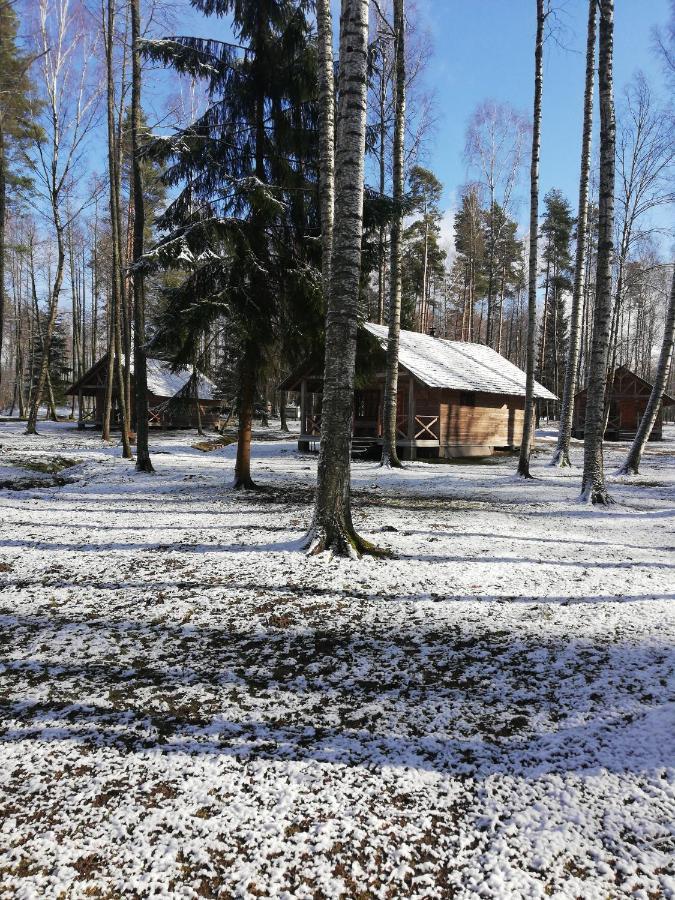 Kempings "Muiznieki" Renda Esterno foto